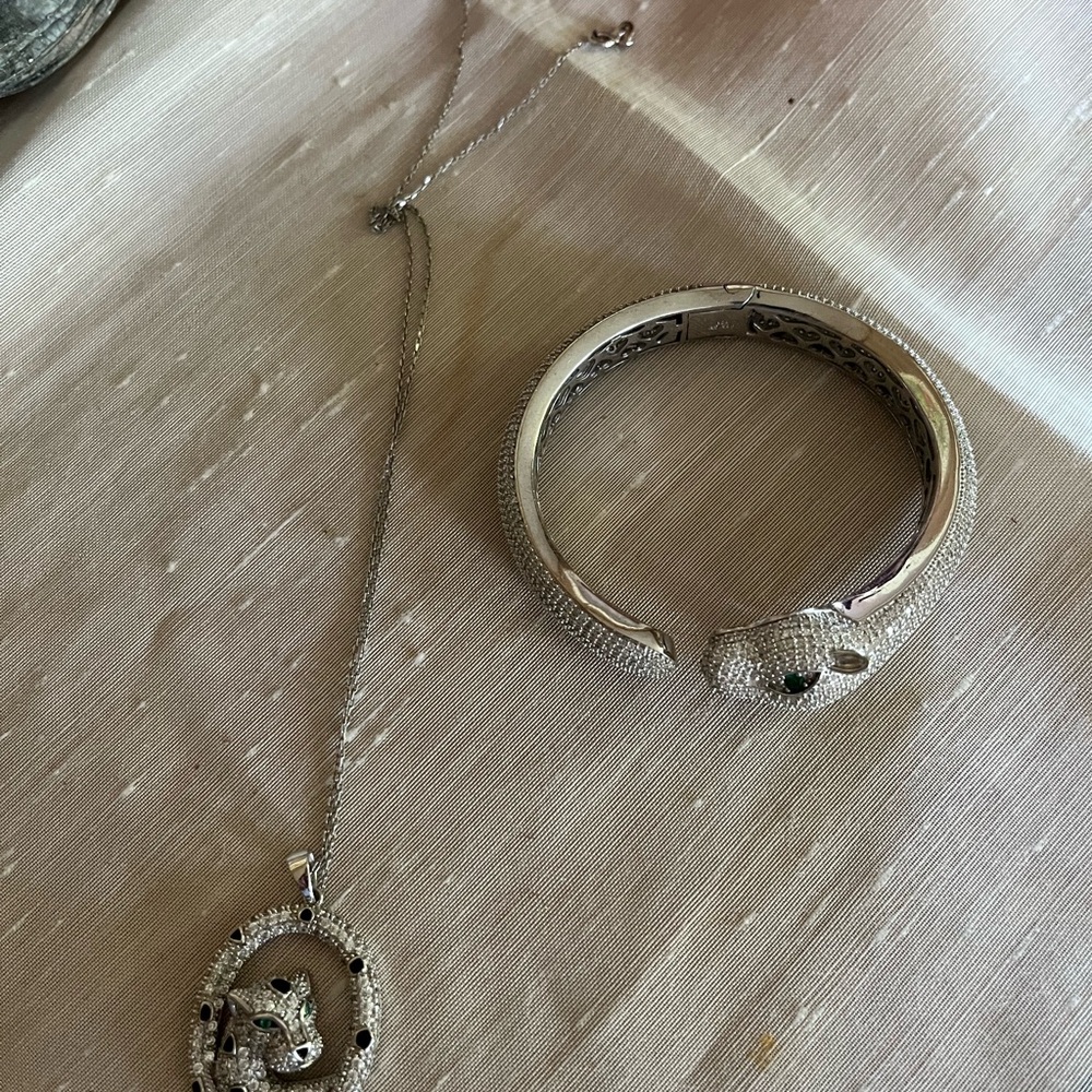 Elegant Silver Snake Jewelry Set